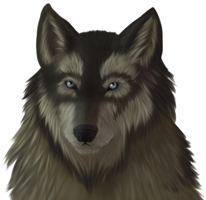 a drawing of a wolf with blue eyes