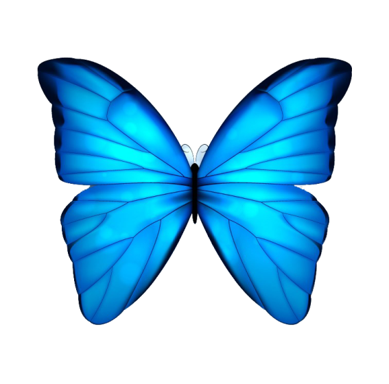 a blue butterfly on white background