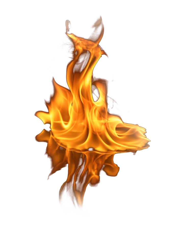 a close up of a fire on a white background