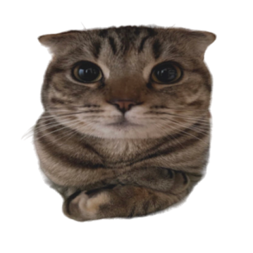 a cat is looking up at the camera