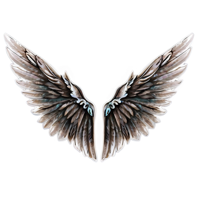 a pair of wings on a white background