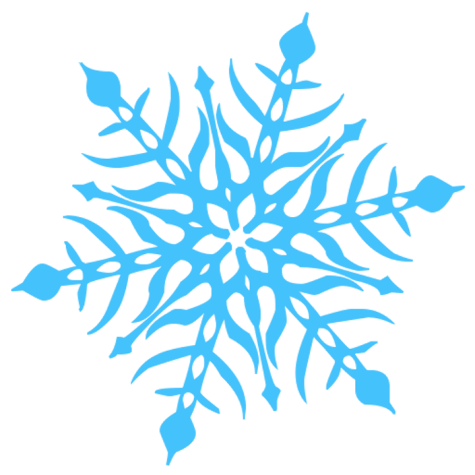 a blue snowflake with leaves