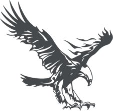 an eagle flying with its wings spread out