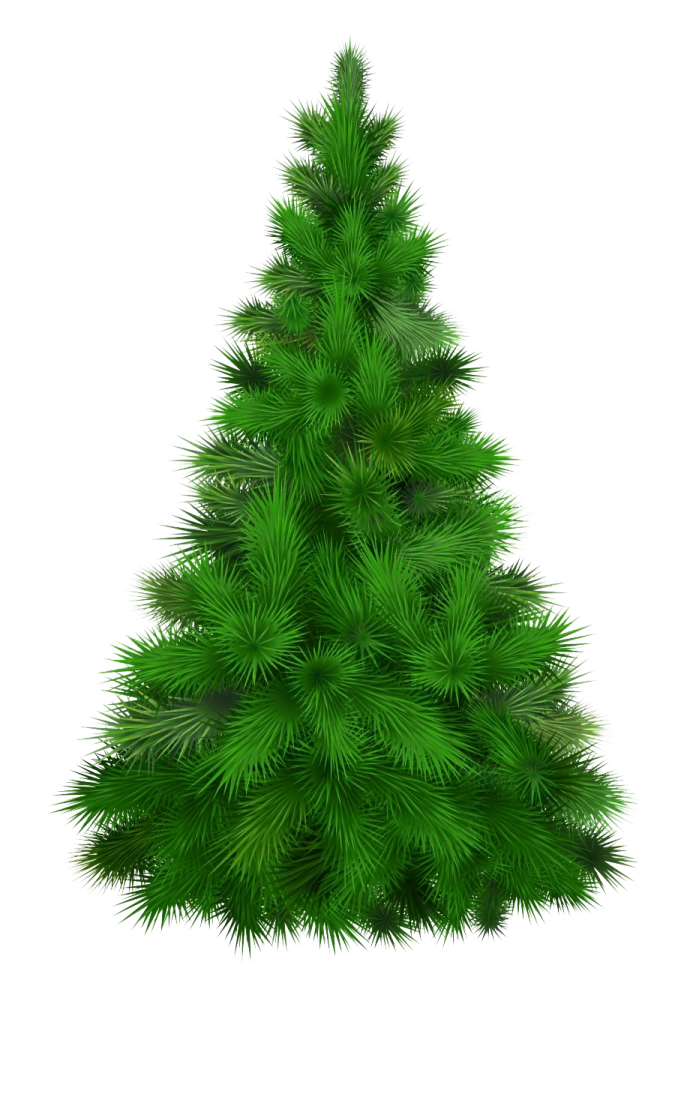 a green christmas tree on a white background