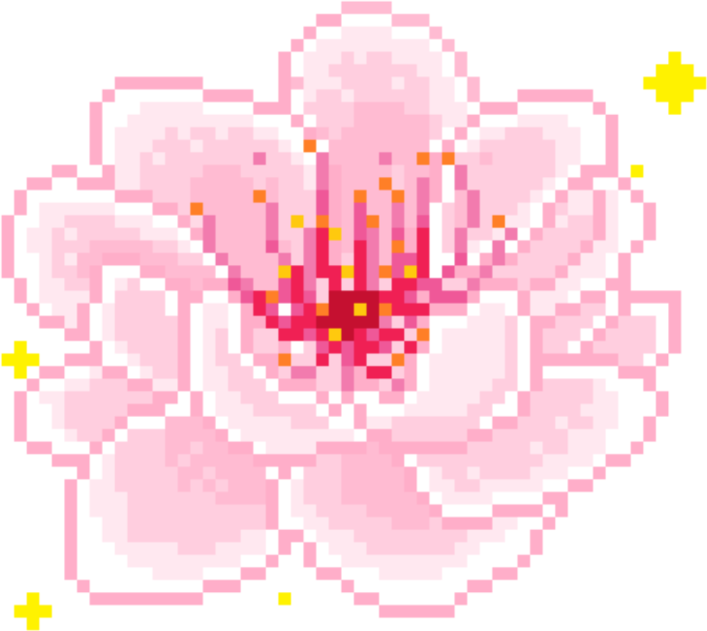 a white flower with pink petals