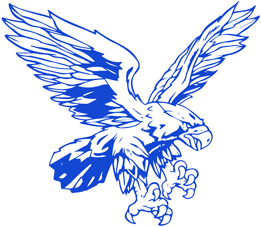 a drawing of an eagle with wings