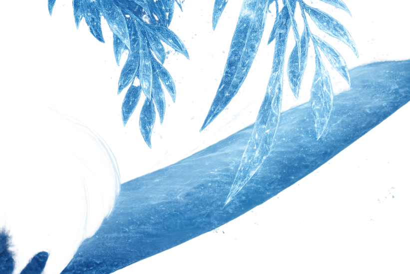 a snowboard in the snow