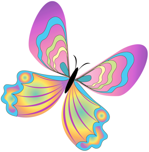 a colorful butterfly on a white background