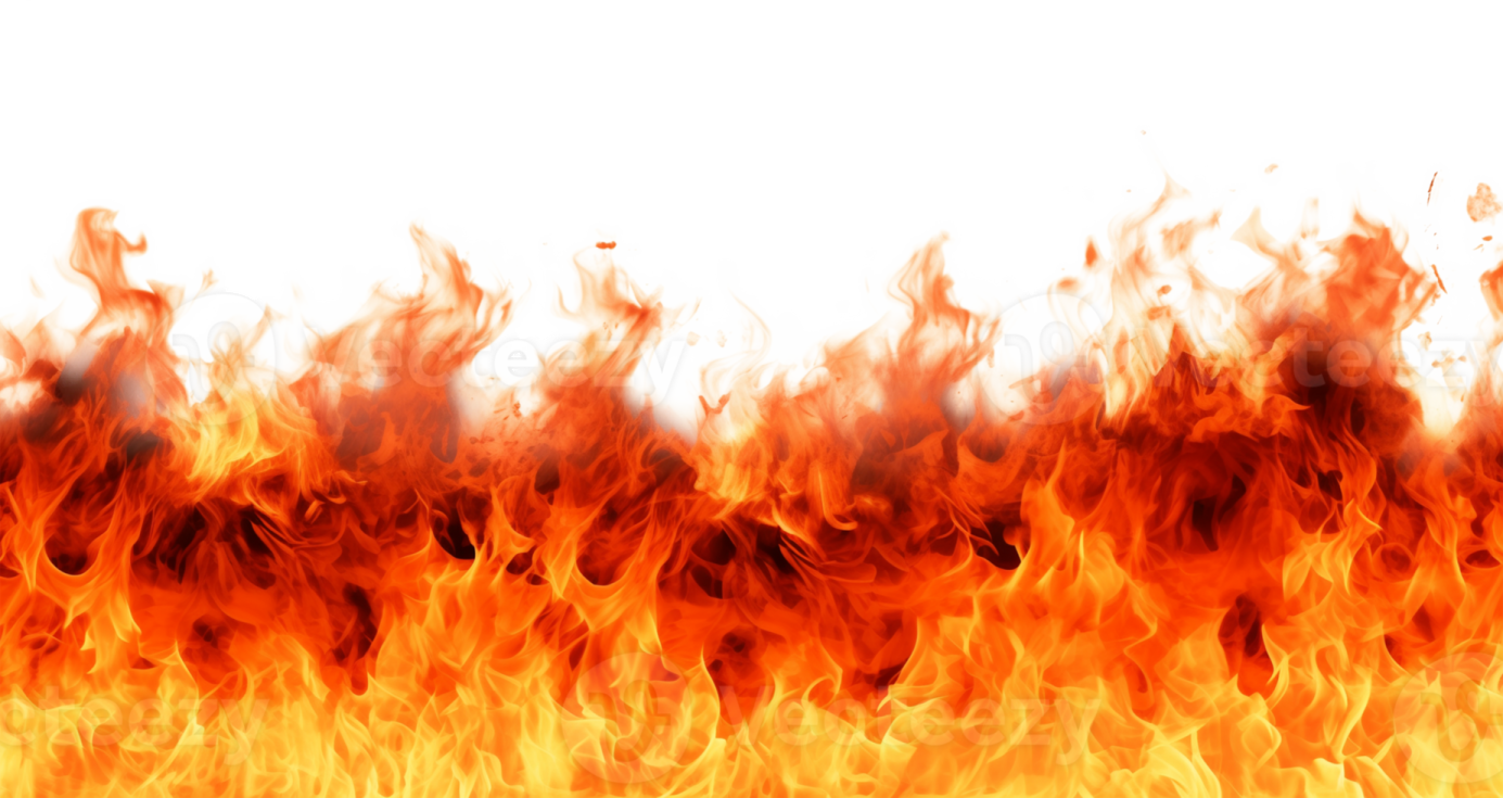 fire flames on a white background