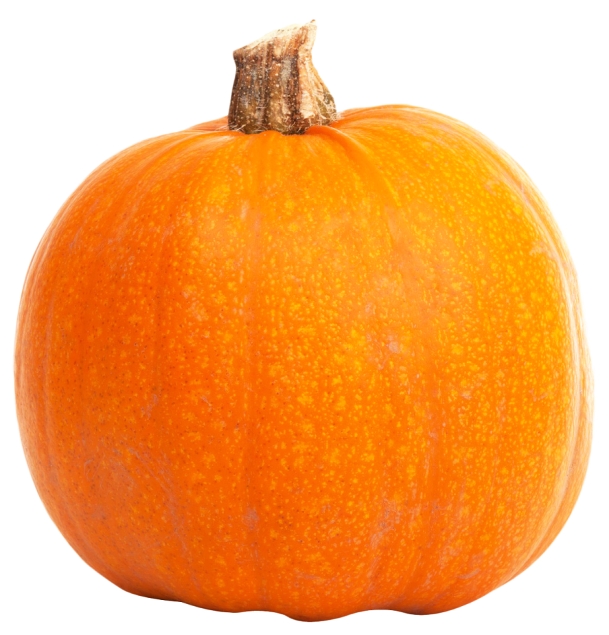 an orange pumpkin on a white background