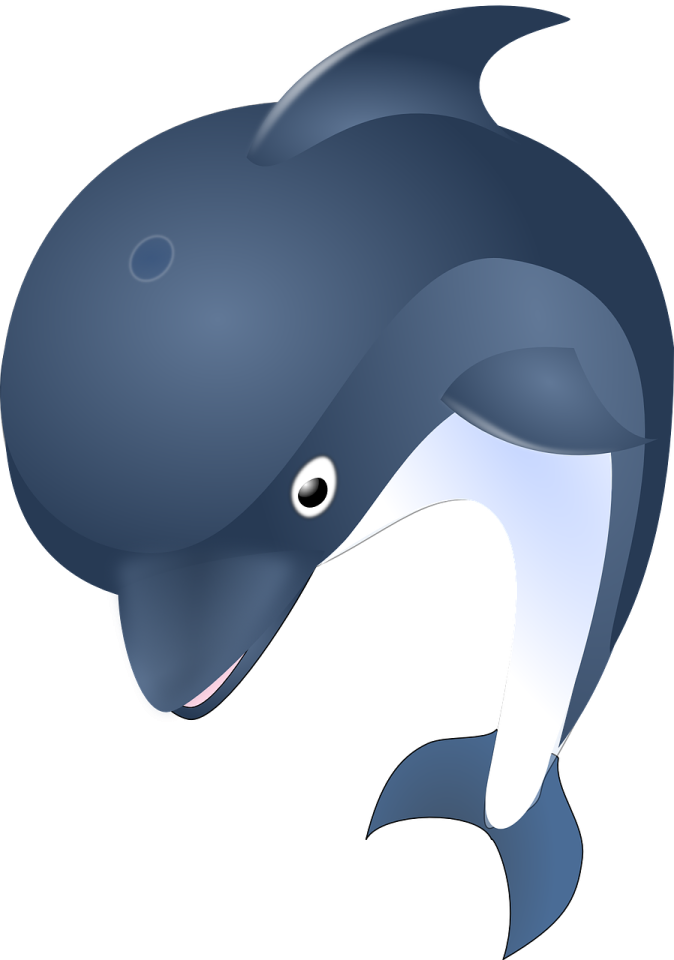 a blue whale with its mouth open