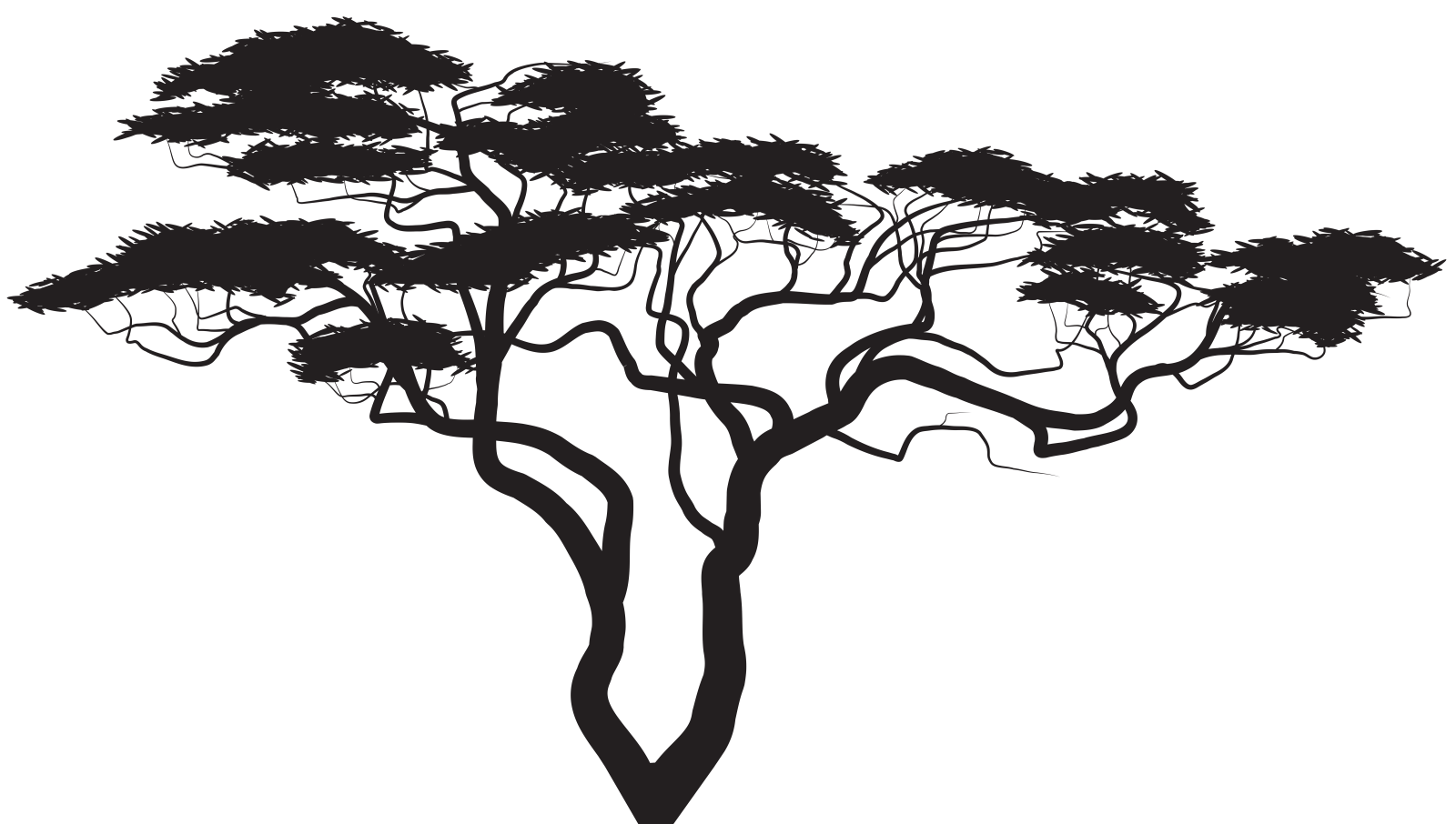 a black and white silhouette of a tree