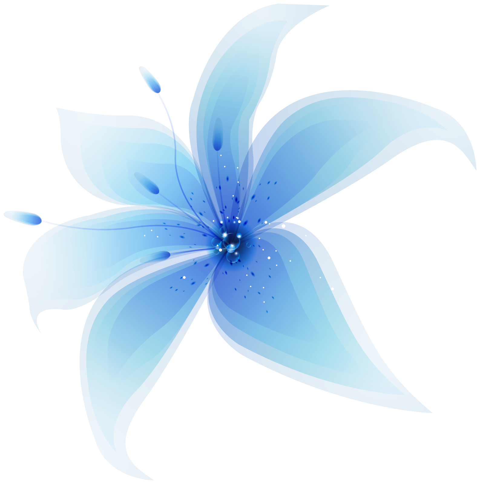 blue flower on white background