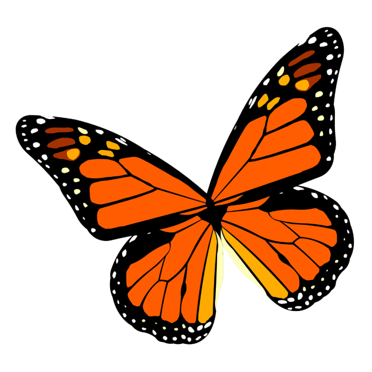 a monarch butterfly clipart