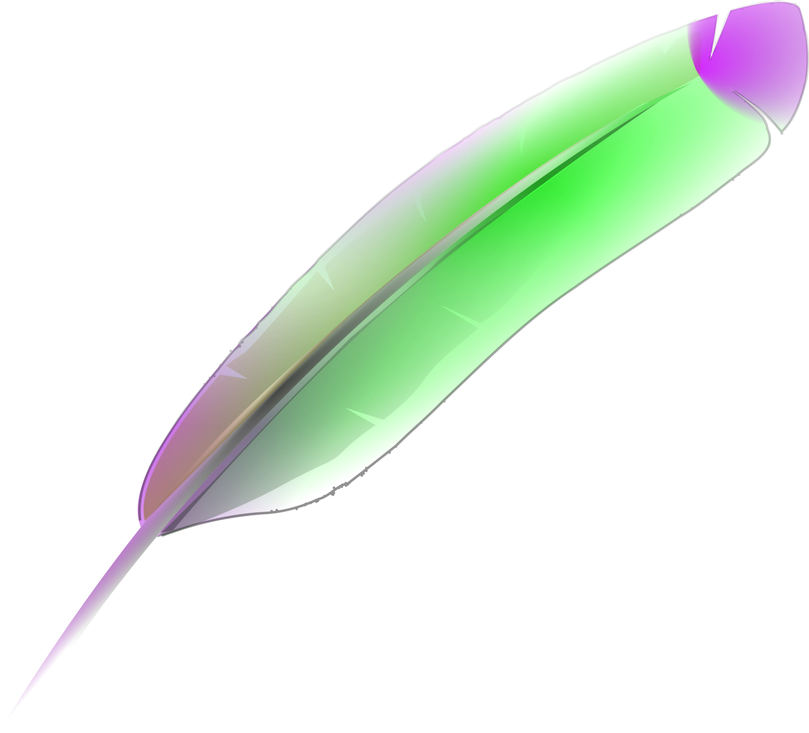 a green and purple feather on a white background