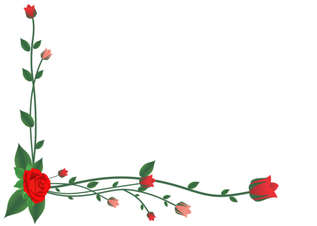 a frame with red roses on it