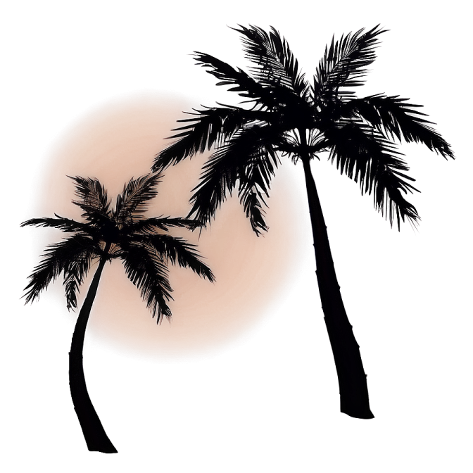 two palm trees with the sun in the background