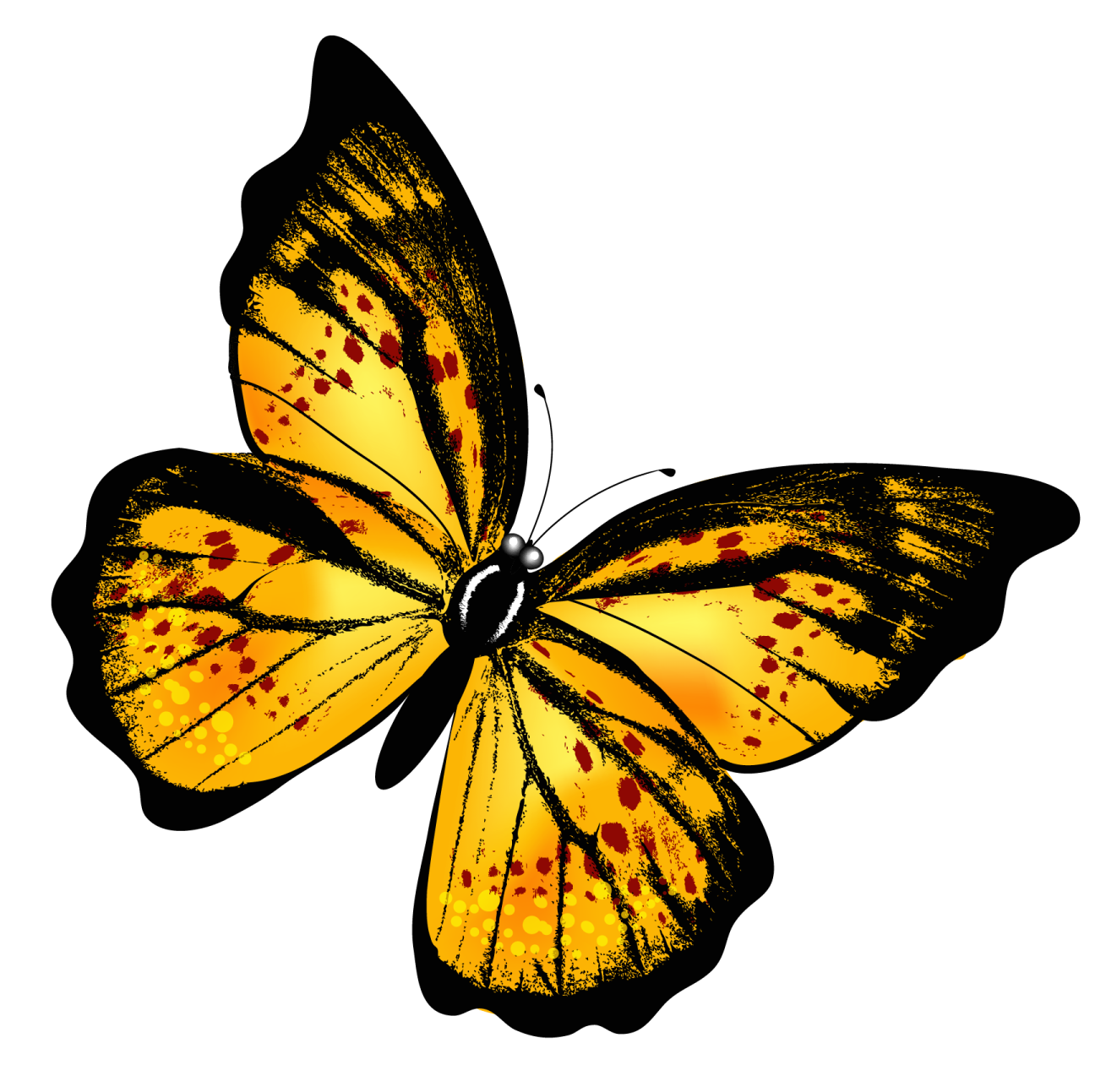 a yellow butterfly on a white background