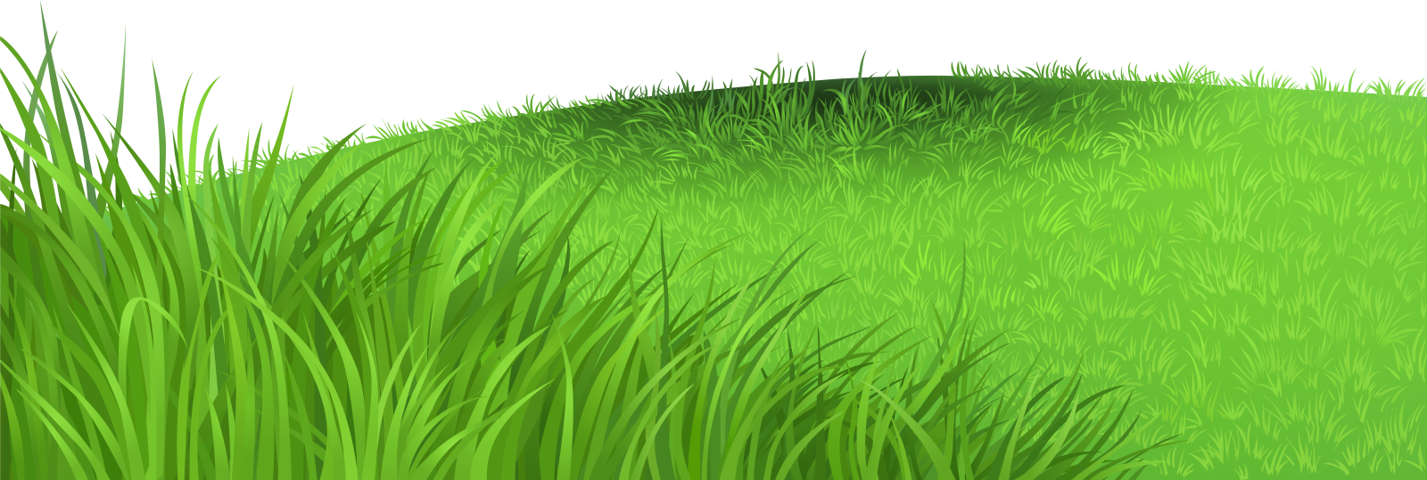 a green grass field with white background