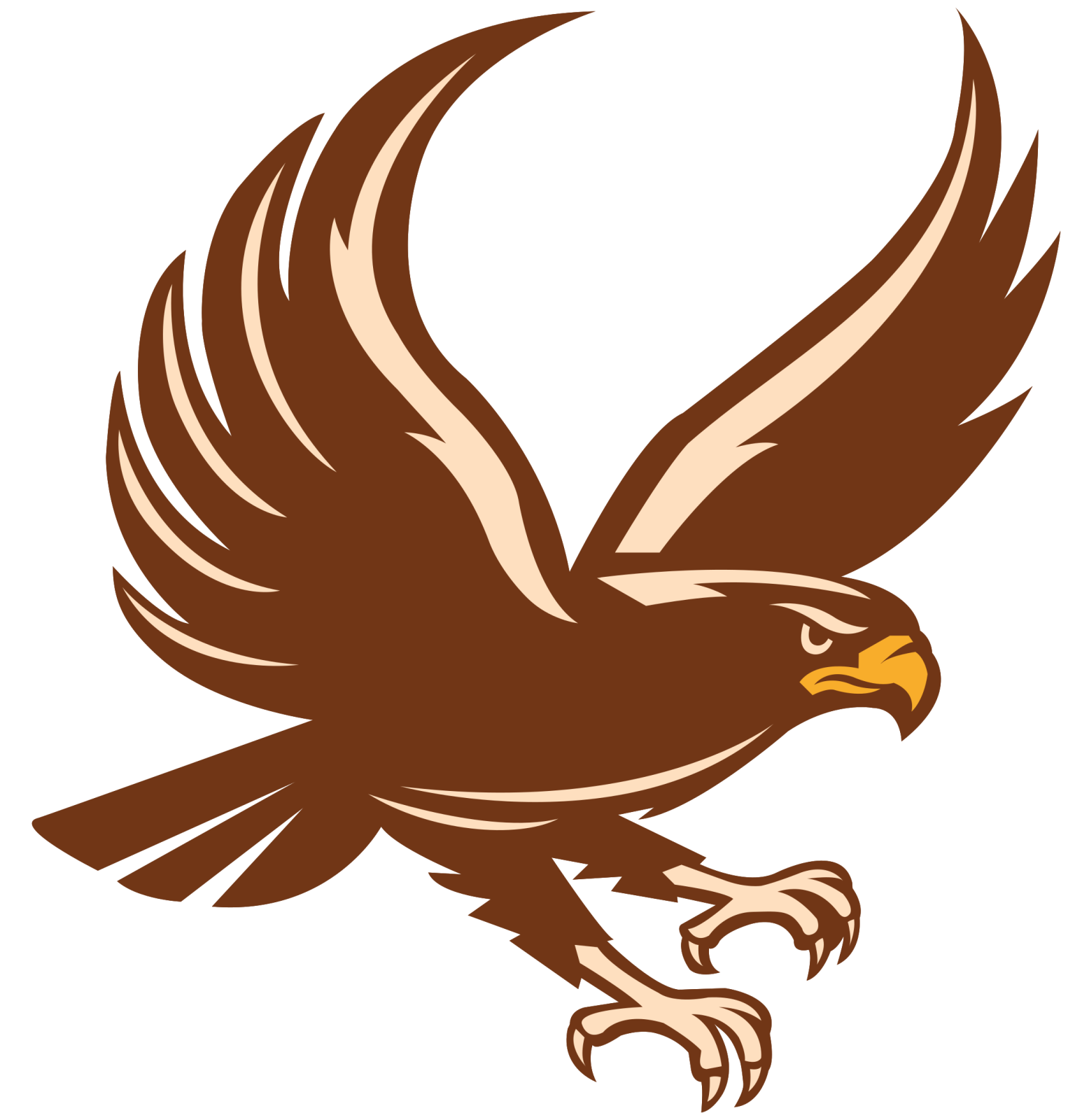 an eagle flying with its wings spread out