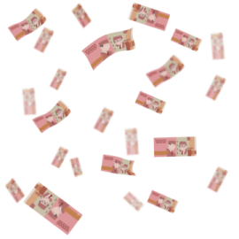 a bunch of money flying in the air