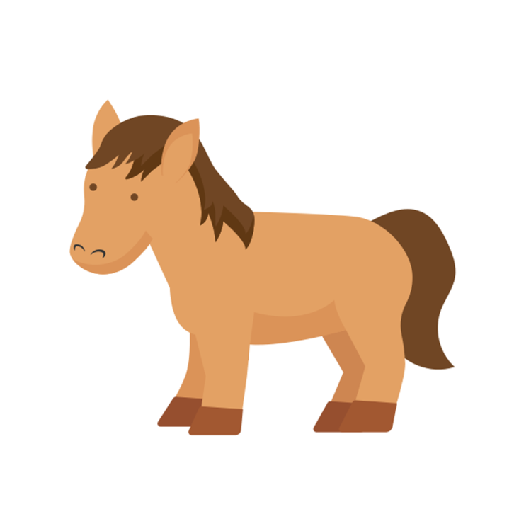 a brown horse standing on a white background