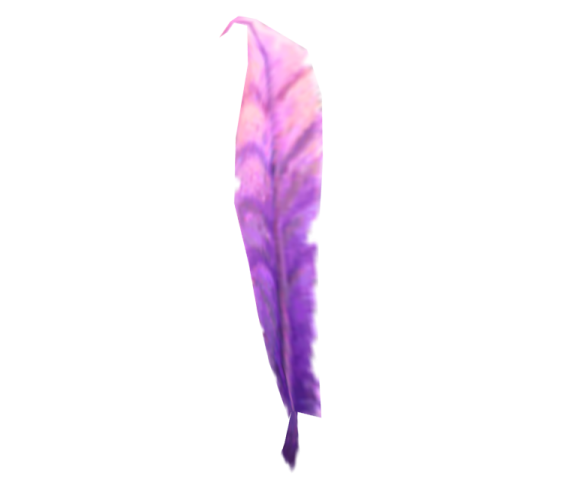 a purple feather on a white background