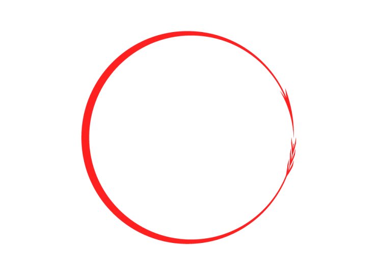 a red circle on a white background