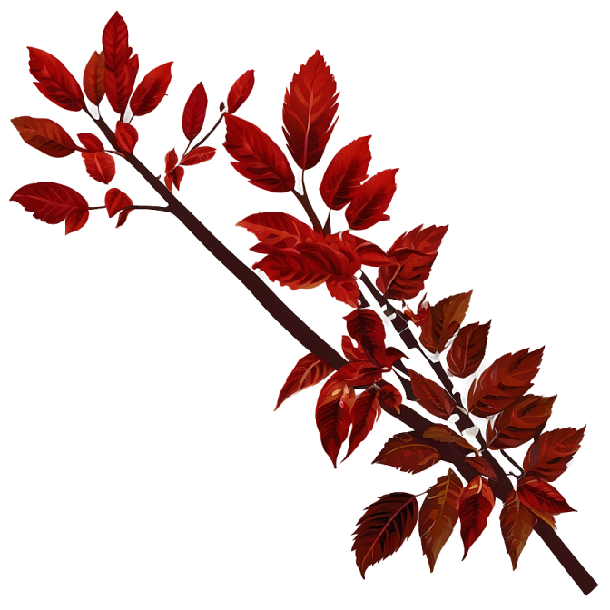 a branch with red leaves on it
