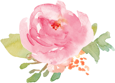 a watercolor painting of a pink rose
