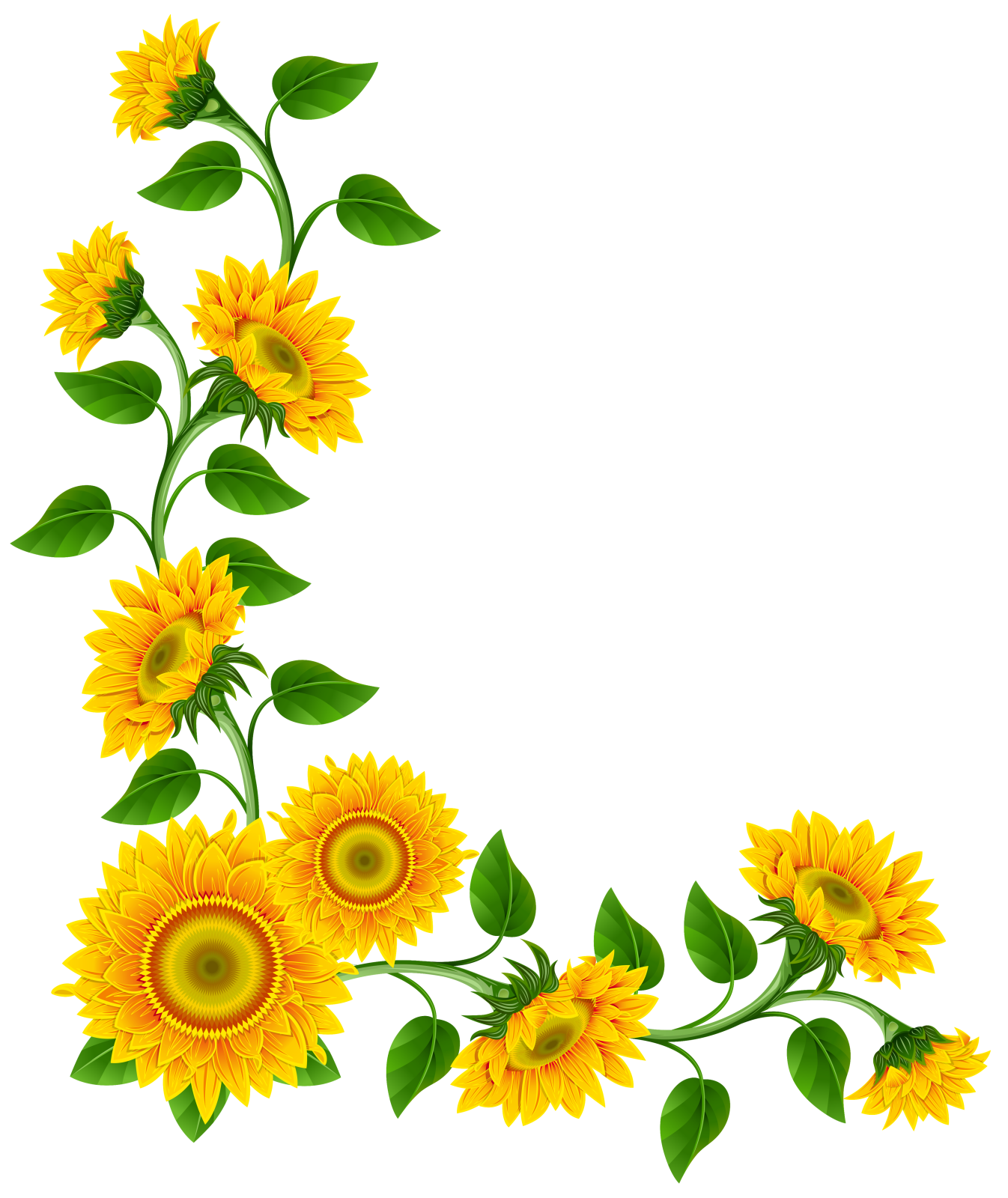 a sunflower border with leaves and flowers