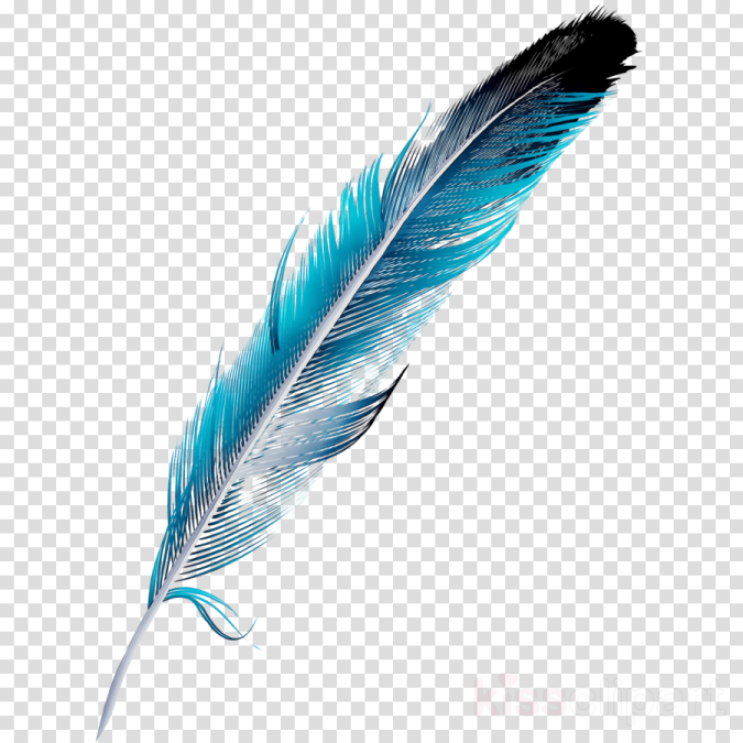 a blue feather on a transparent background