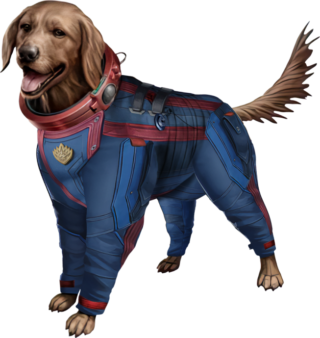 a brown dog wearing a blue and red suit