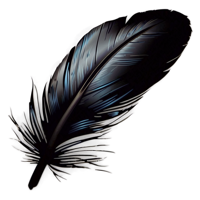 a black feather on a white background