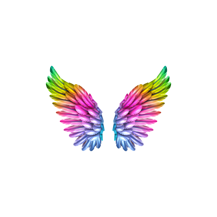 a rainbow colored wing on a white background
