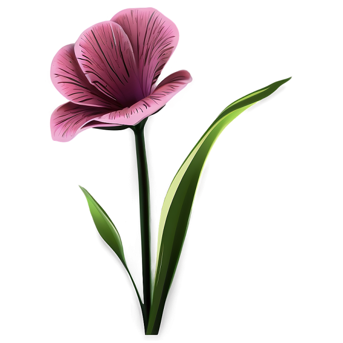a purple flower on a white background