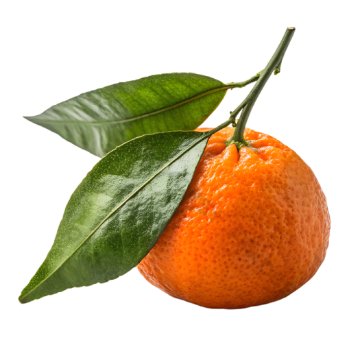 an orange with a leaf on top of it