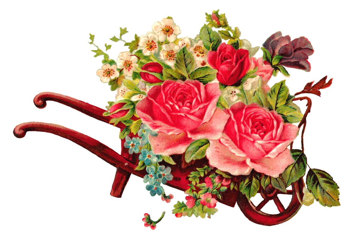 a red watering with pink roses and green leaves