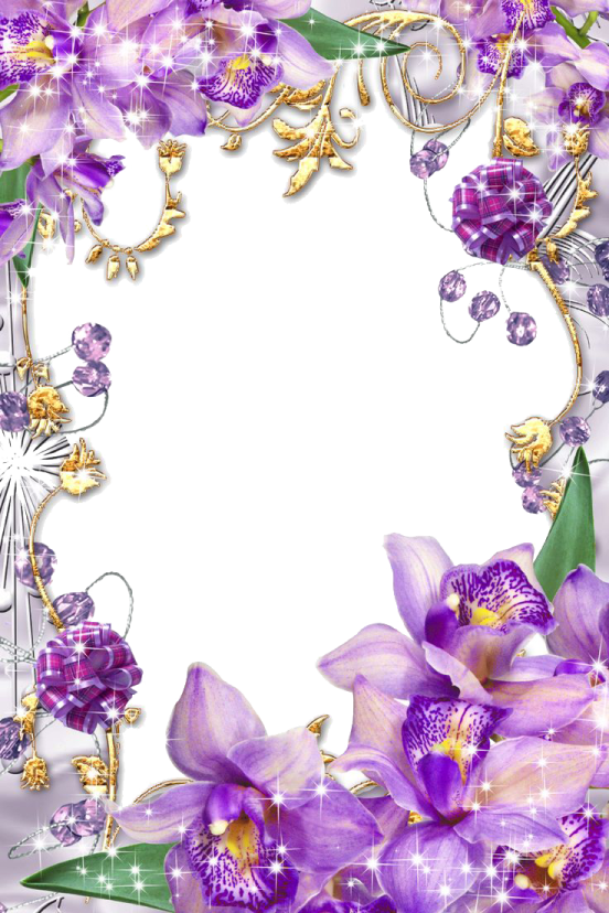 a frame with purple flowers and butterflies