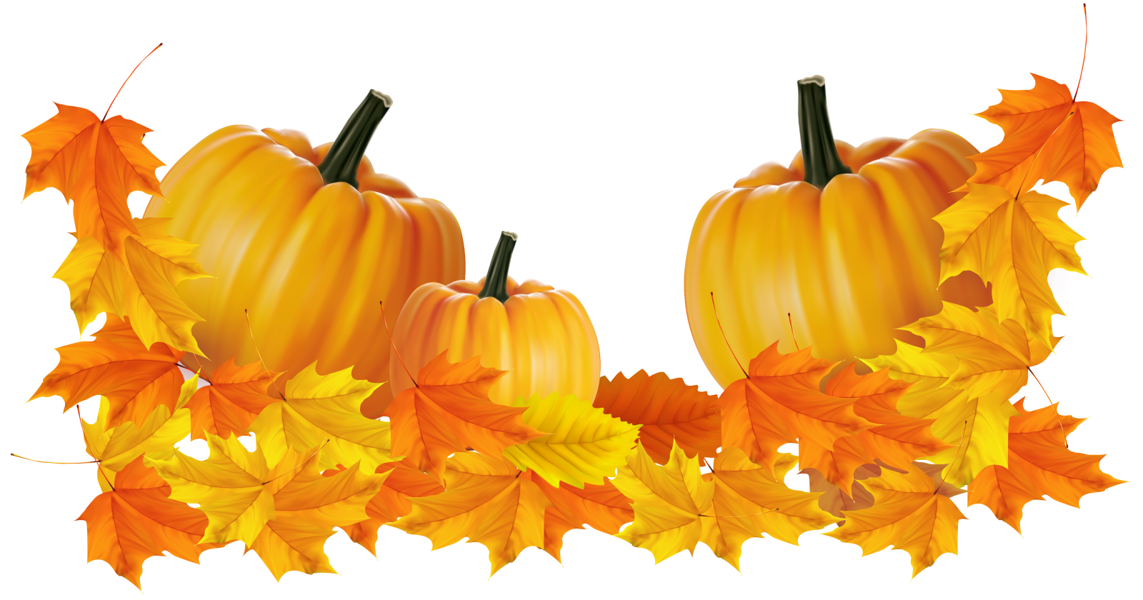 two pumpkins surrounded by autumn leaves