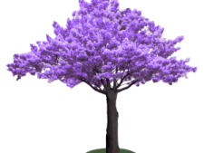 a purple tree on a white background