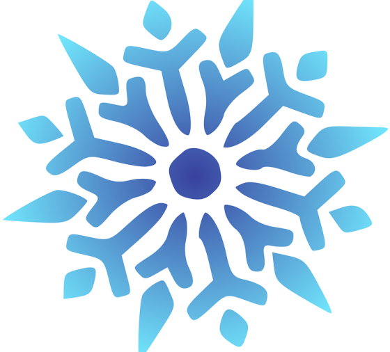 a snowflorer logo