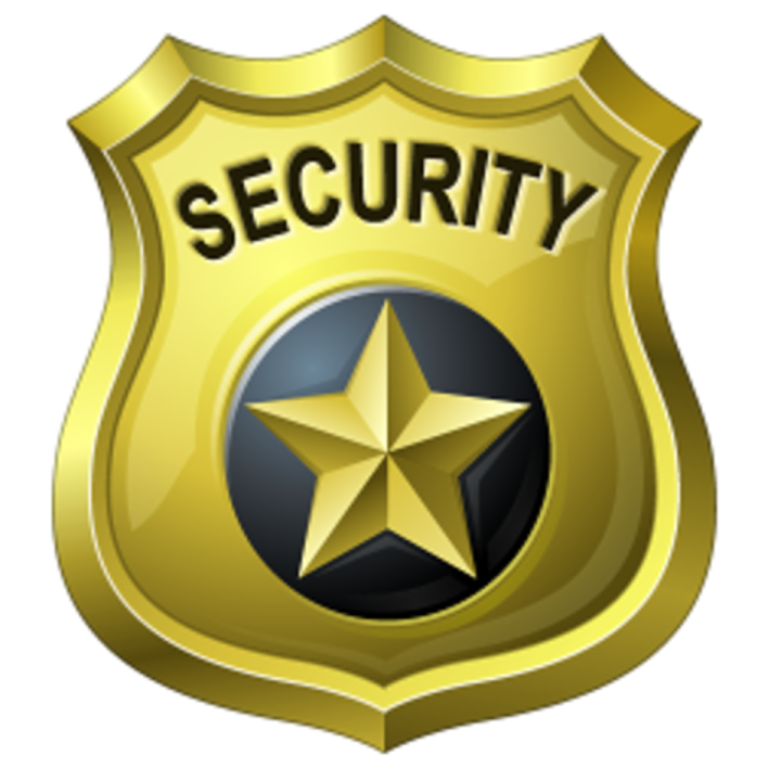 a gold badge with the word security
