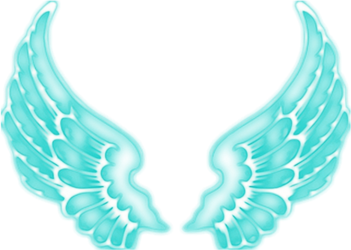 a pair of blue wings on a white background
