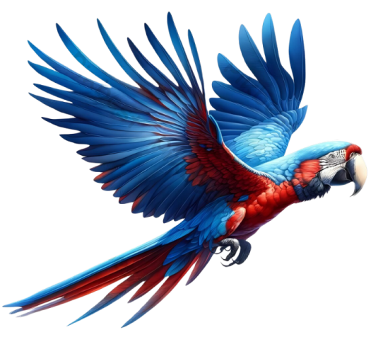 a blue and red parrot flying in the air