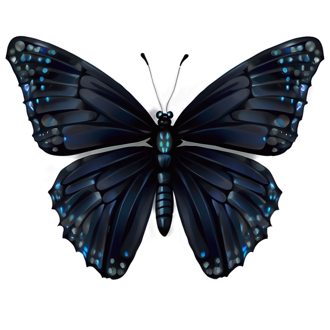 a black butterfly on a white background