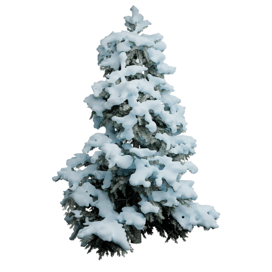 a christmas tree covered in snow on a white background