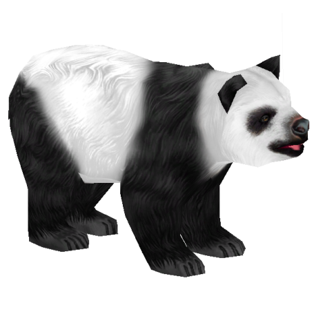 a panda bear with black and white fur