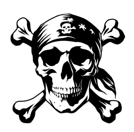 a skull and crossbones on a white background