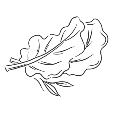 a black and white drawing of a leaf